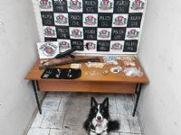 C�o �Jow� ajuda a apreender armas e drogas em opera��o em Len��is Paulista