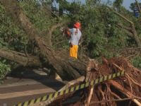 Temporal em Ja� derruba mais de 150 �rvores, segundo Defesa Civil 
