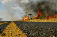 Queimadas na zona rural causam morte de animais em vias de extin��o