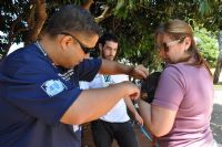 Campanha anual de vacina��o busca a imuniza��o de 20 mil c�es e gatos 