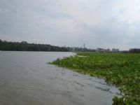 Cad�ver de homem � encontrado �s margens do Rio Tiet� em Anhembi