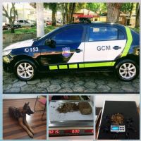 Com ajuda de c�o treinado GCM de Itatinga apreende maconha em terreno baldio