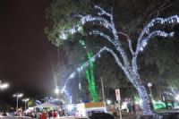 Luzes alusivas as festividade natalinas ser�o acesas nesse domingo