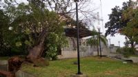 Chuva com rajadas de vento causa danos em pontos diferentes da Cidade 