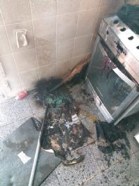 Bombeiros atendem inc�ndio na Vila Assun��o e resgatam tamandu� no Cachoeirinha