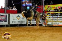 Rodeio em touros e provas com cavalos s�o destaques at� a domingo na Facilpa