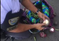 Opera��o do TOR em Pardinho flagra boliviana com coca�na oculta em beterrabas