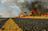 Botucatu prepara a��es estrat�gicas para o per�odo de estiagem e queimadas 