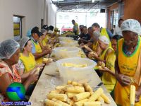 Vila Maria prepara mais uma edi��o da �Festa do Milho - Safrinha de S�o Jo�o�