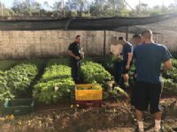 Funda��o CASA de Botucatu fecha parceria com o IFSP de Avar� e Banco de Alimentos