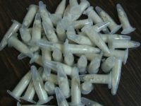  
PM de Laranjal Paulista faz  flagrantes de tr�fico no mesmo dia, na mesma rua
