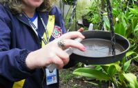 Vigil�ncia Ambiental realizou mais de 70 mil a��es contra a dengue no 1� semestre