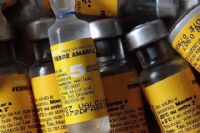 Caso de febre amarela na regi�o � detectado em adolescente de 17 anos